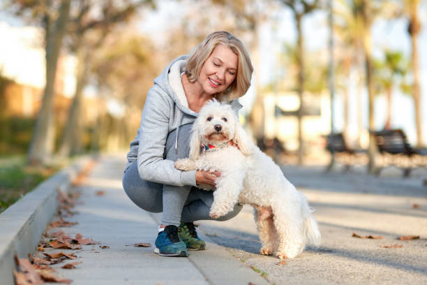 istock Elderly woman walking with a dog outdoors. 1204585708