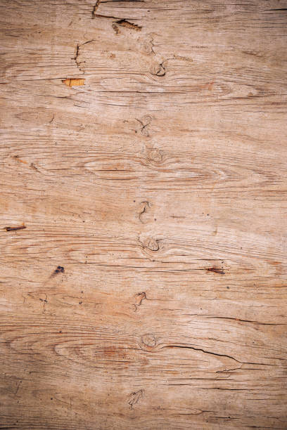 fundo de textura de madeira compensada rachado - wood birch wood grain textured - fotografias e filmes do acervo