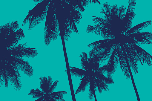 Coconut trees tropical vector illustration