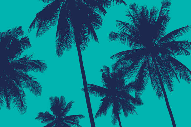 Vector background with palms Coconut trees tropical vector illustration beach wallpaper stock illustrations