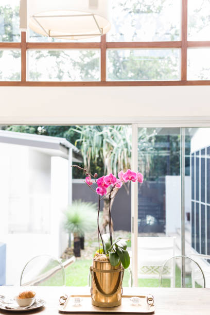 istock Dining table flower vase orchid 1204592374