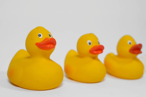 istock Yellow rubber ducks isolated on white background. Bath duck toys 1204594636