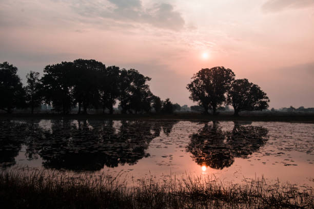 istock Dawn near a lake in India 1204594880