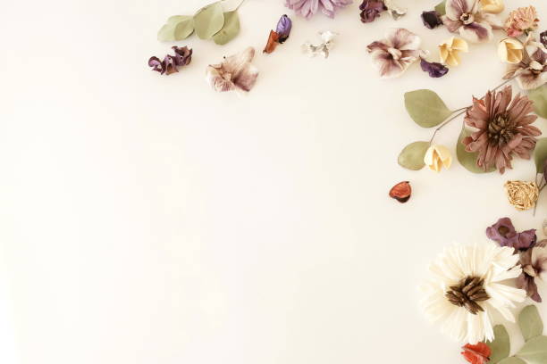 istock dried flowers and eucalyptus leaves pattern on white backdrop.Top view, flat lay. Copy space. Minimal floral card 1204596801