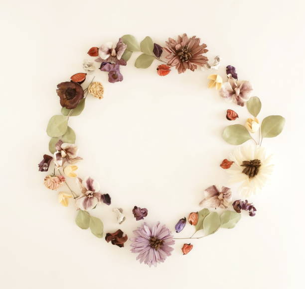 istock Dry Flowers wreath background. Composition from dried flowers and eucalyptus leaves pattern on white backdrop. Floral card. Top view, flat lay. Copy space. Minimal concept 1204597852