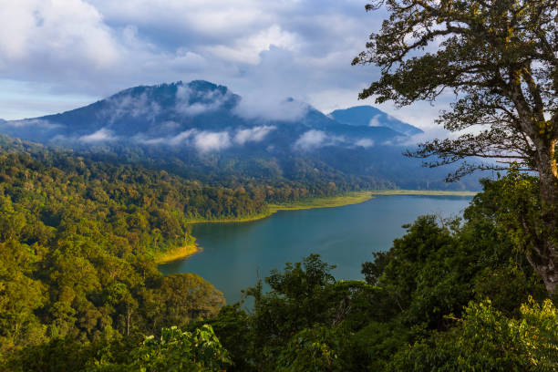 istock Lake Tamblingan - Bali Island Indonesia 1204598488