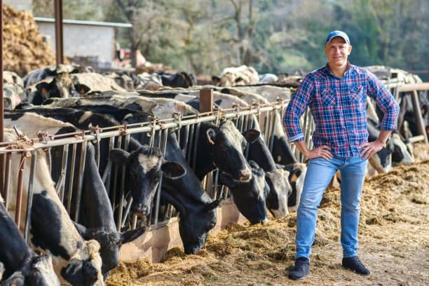 istock Portrait of a man on livestock ranches. 1204599443