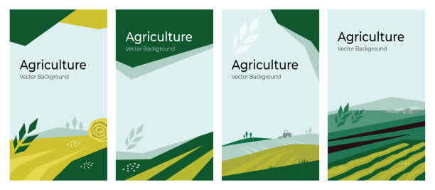 Set of agriculture vector backgrounds Cover design with agriculture or farming concept. Vector illustrations with farm land, field, spike of wheat. Set of banner backgrounds. Templates with tractor, harvest, hayfield for flyer, poster, ad agro stock illustrations