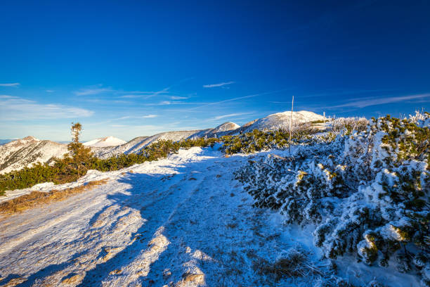 istock Winter mountain landscape in a sunny day. 1204600080