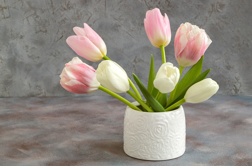spring flowers, white and pink tulips in a white vase.