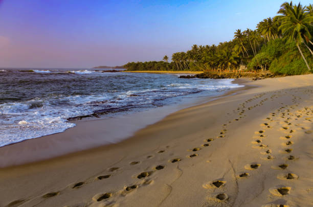 istock Sea sunset and empty beach.  Footprints in the sand on the beach.  Empty beach and ocean. 1204609693