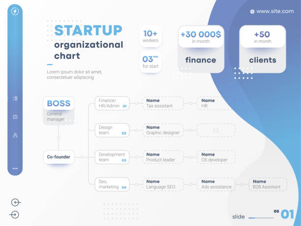 звездная структура компании. инфографика диаграммы запуска бизнес-иерархии. корпоративный стартап организационной структуры графических - organization diagram organization chart chart stock illustrations