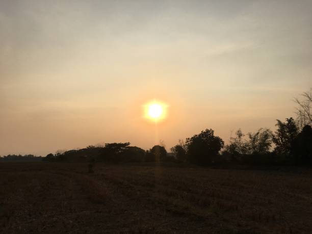 istock The evening sun in Thailand 1204615749