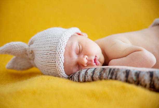 istock Cute baby photoshoot 1204616044