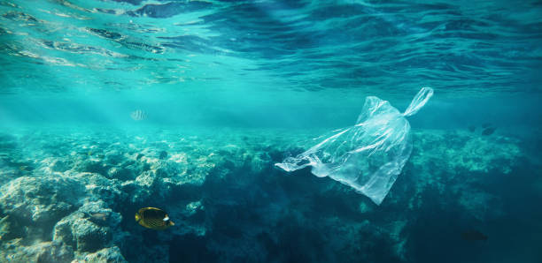 istock Ocean pollution concept, plastic bag floating in the water 1204616954