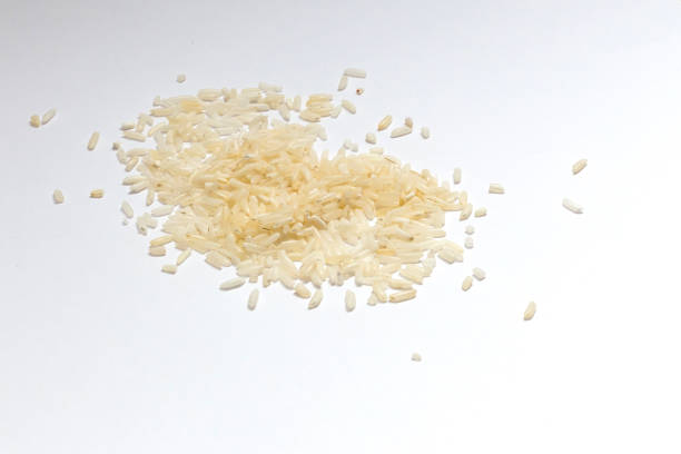 istock Steamed rice isolated on white background 1204618523