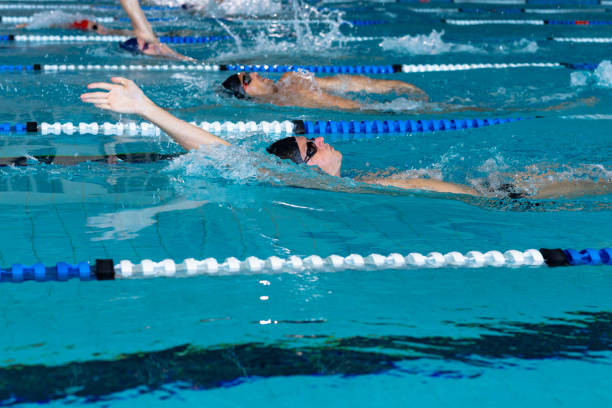 istock Swimmers swimming in the pool 1204618559