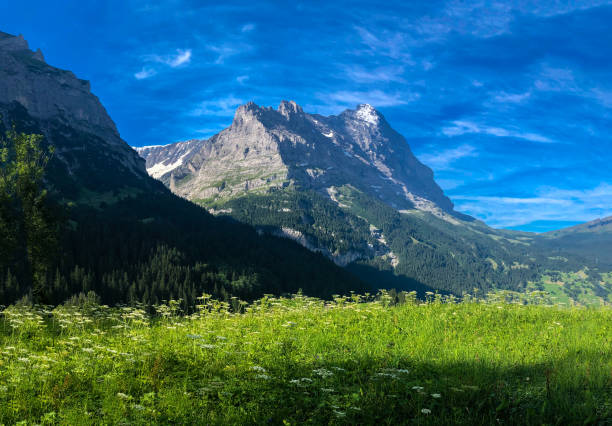 istock Breathtaking Mountains Views in Grindelwald, Switzerland 1204619002