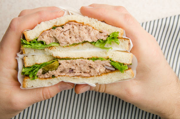 sanduíches de atum embrulhados com picles de alface e cebola cortadas ao meio na mão do modelo caucasiano sobre guardanapo - tuna salad sandwich - fotografias e filmes do acervo