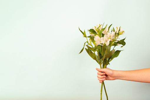 Beautiful gentle bouquet of flowers in female hand on white background. Floral romantic composition, concept for mothers day, Valentine's day, birthday. Close up, copy space