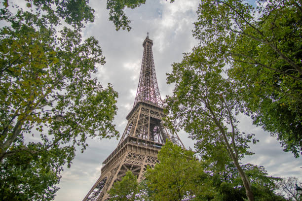 istock Eiffel Tower Paris surrounded by trees wide angle shot 1204622159