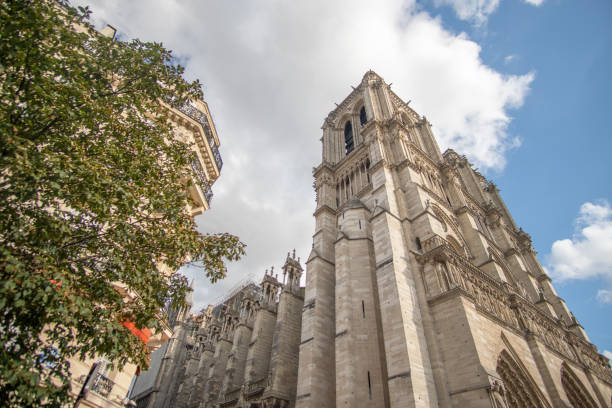 istock Cathedral Notre-Dame in Paris 1204622578