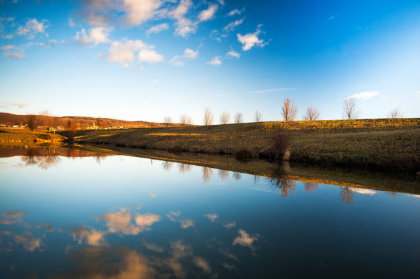 Reflections at a pond in Eisenstadt Burgenland