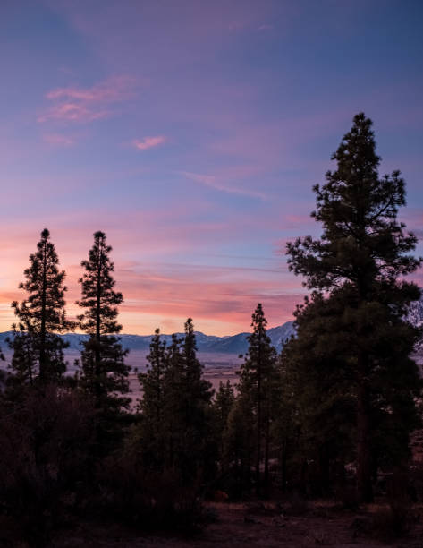 istock Early Morning Sunrise Over Carson Valley 1204626092