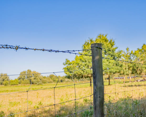 istock Picket fence restricting access in the countryside 1204629632