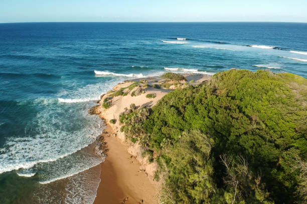 istock drone shot of a beach on an island 1204629709