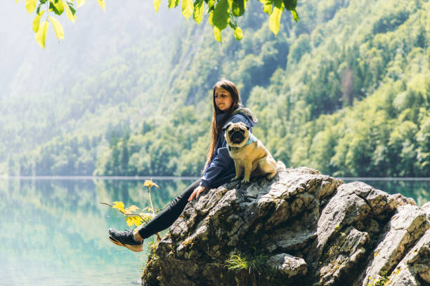 девушка и собака наслаждаются ярким летним восходом со�лнца на красивом горном озере в баварских альпах - konigsee стоковые фото и изображения