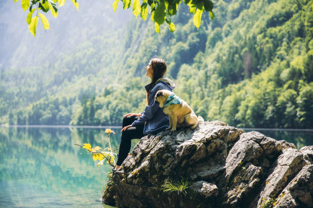 donna e cane che si godono la luminosa alba estiva nel bellissimo lago di montagna nelle alpi bavaresi - thuringia foto e immagini stock