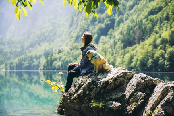Young woman with long hair in purple jacket and her small cute dog - pug breed sitting on the big stone looking at lake Obersee and pine forest during summer sunrise in the Alps, Berchtesgaden, Germany