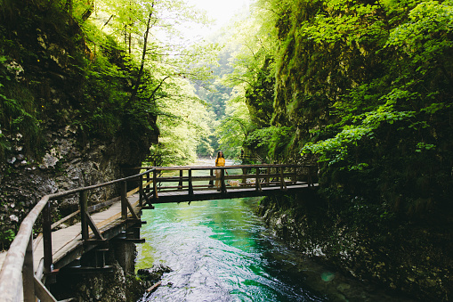 Young woman with long hair and yellow t-shirt and a small dog - pug breed exploring the beautiful canyon and Soča river walking on the wooden bridge during sunny summer day in Julian Alps, Triglav National Park