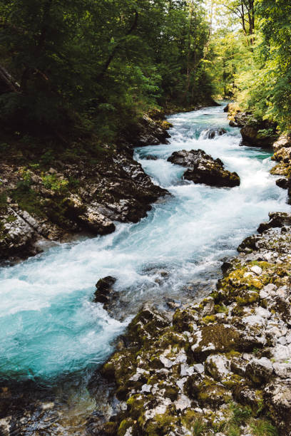 istock Beautiful turquoise river in canyon in Slovenia 1204630966
