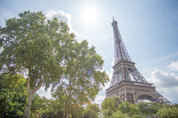 istock Eiffel Tower next to tree in the Sun wide angle 1204631001