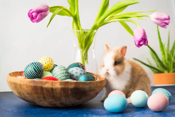 istock Easter bunny in basket with colorful eggs and tulips on wooden table. Easter holiday decorations , Easter concept background. 1204632190