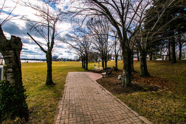istock The end of the path 1204634453