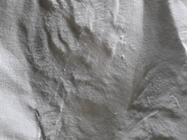 istock chemical fertilizer 1204635212