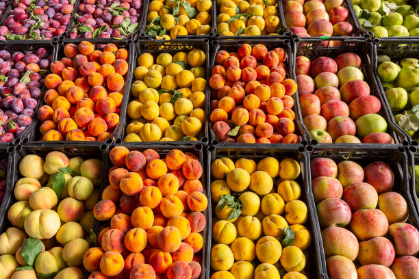 Variety of fruits in the market Variety of fruits in the market, Tbilisi, Georgia vegetable stand stock pictures, royalty-free photos & images