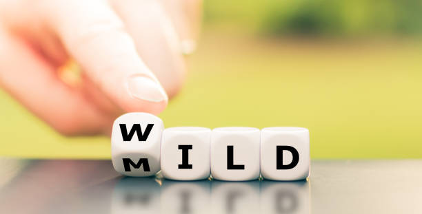 istock Mild or wild? Hand turns dice and changes the word 