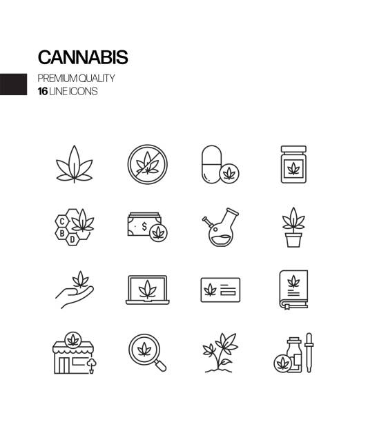 prosty zestaw ikon linii wektorowych związanych z konopiami indyjskimi. kolekcja symboli konspektu - medical marijuana stock illustrations
