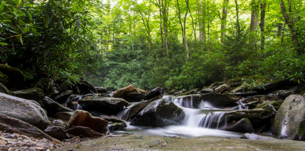 istock Rocky Mountain National Park long exposure stream 1204641046