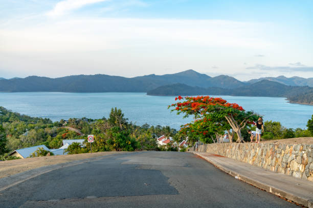 istock One Tree Hill view at dusk of Hamilton Island, Australia 1204650190