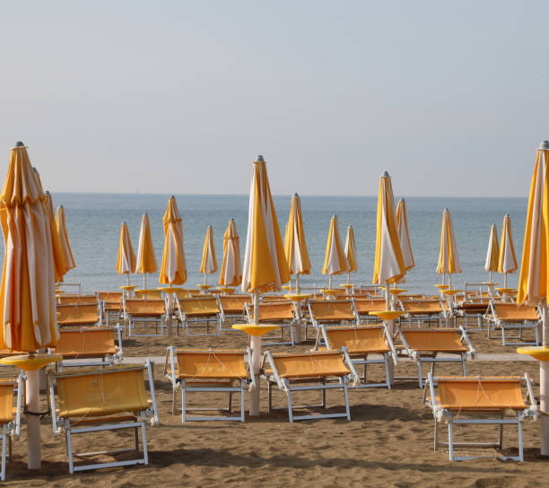 istock many closed sunshade on the beach 1204650327