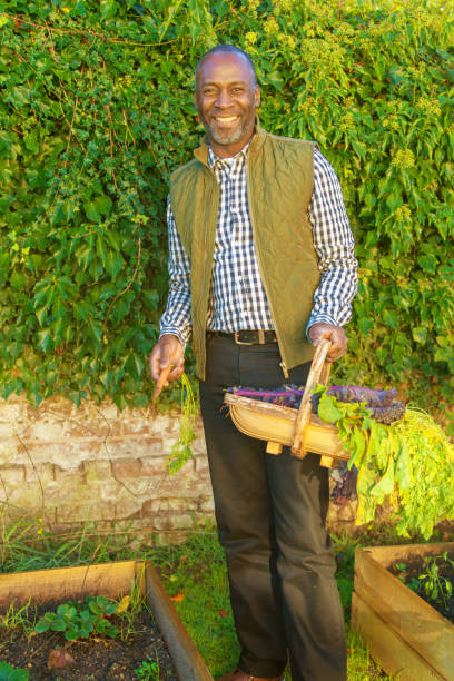 istock Mature man with organic carrots 1204651544