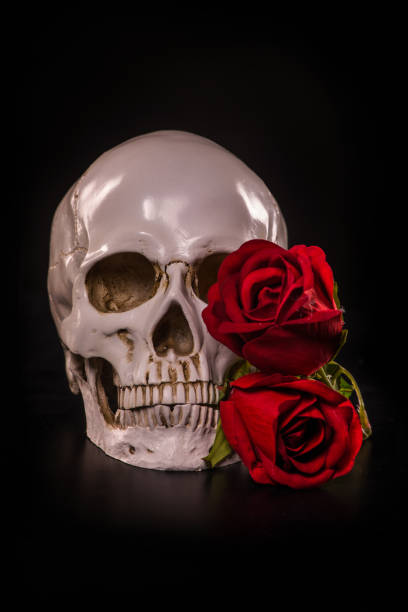 istock Skull on a black background with red roses 1204653690