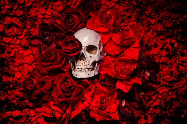 istock Skull in a bed of red flowers 1204653694