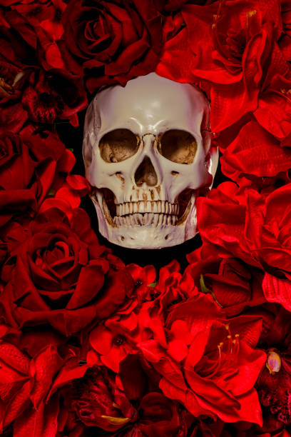 istock Skull in a bed of red flowers 1204653910