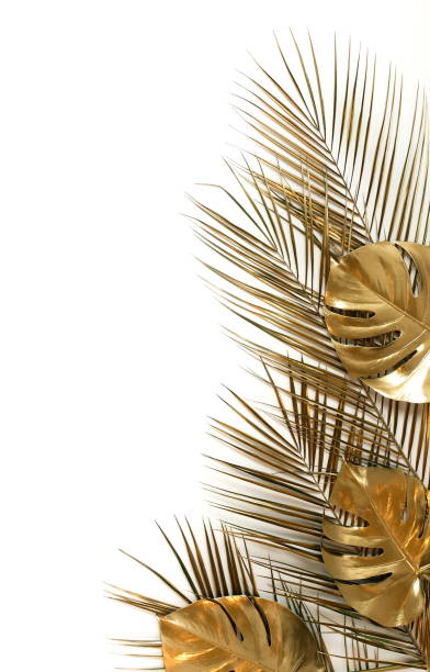 istock Gold palm and monstera leaves plant pattern frame isolated on a white background. top view. copy space. abstract. 1204653953
